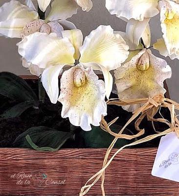 Un ramo de orquídeas