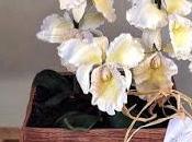 ramo orquídeas