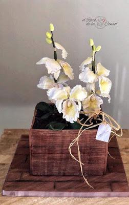 Un ramo de orquídeas