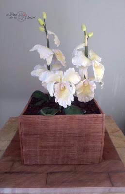 Un ramo de orquídeas