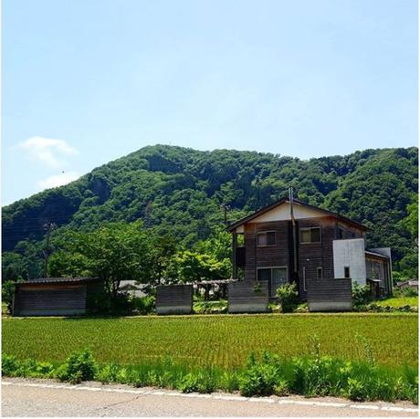 Las hermosas tierras de cultivo en las montañas de Japón son increíbles