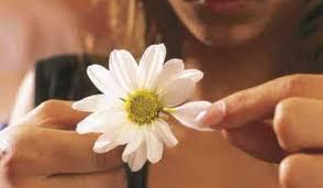 El Jardín El Jardín