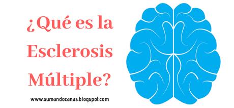 Día de la Esclerosis Múltiple: ¿Qué es?