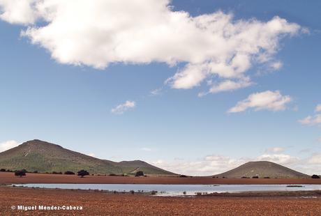 Belvís de la Jara y su Entorno