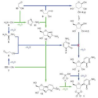 El Origen de la Vida, Albrecht Moritz El Origen de la Vida, Albrecht Moritz