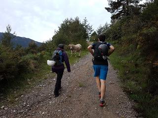 SENDERISMO EN EL CADÍ-MOIXERÓ: EL POLLEGÓ INFERIOR DEL PEDRAFORCA (2445 m)