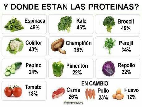 Las mejores fuentes de proteína vegetal
