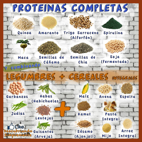 Las mejores fuentes de proteína vegetal