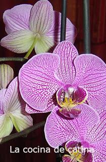 Recopilatorio de recetas con pollo 3