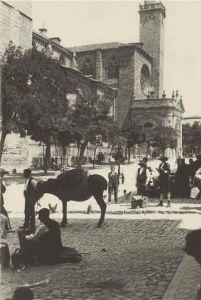 La Sierra Norte de Guadalajara envejece
