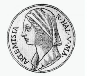 Las saqueadoras de los mares.