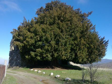Planes en Ponferrada y el Bierzo para el fin de semana. 8 al 10 de junio 2018