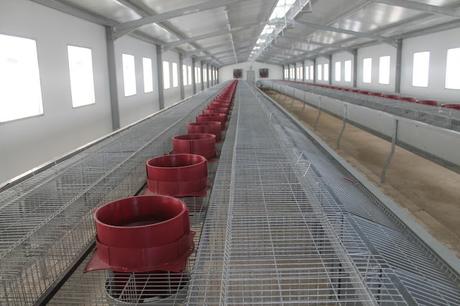 FEDA entrega en Distrito Muncipal de Mena granja de crianza de conejos.