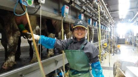 Doce maneras como Israel alimenta al mundo.