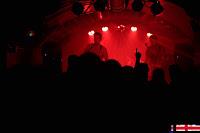 Hey! Bastian en El perro de la parte de atrás del coche Hey! Bastian en El perro de la parte de atrás del coche