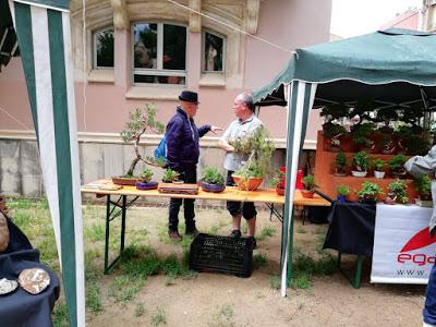 28º Exposicio bonsai Natura