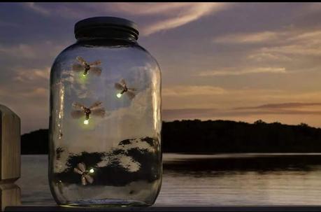 La imagen puede contener: cielo, exterior y agua