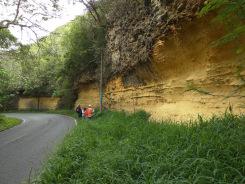 Roca caliza en Isabela.