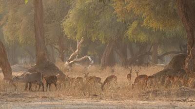 Alida y el reino de Uluf, de Eric G. Moral