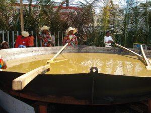 8 Records Guinness Alcanzados Por La Republica Dominicana