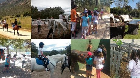Los Mejores Campamentos de Verano en Madrid