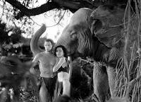 Cinecritica: Tarzan y su Compañera