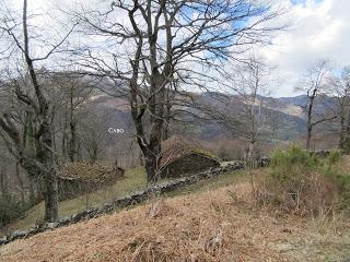 Piñera Riba-Carraceo-El Carril-Fancoxiá-Padrún