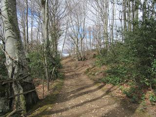 Piñera Riba-Carraceo-El Carril-Fancoxiá-Padrún