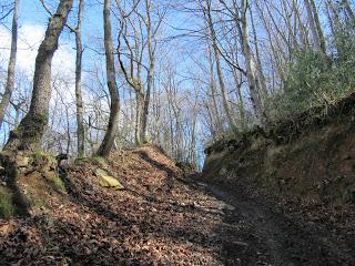 Piñera Riba-Carraceo-El Carril-Fancoxiá-Padrún