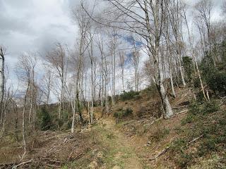 Piñera Riba-Carraceo-El Carril-Fancoxiá-Padrún