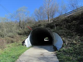 Piñera Riba-Carraceo-El Carril-Fancoxiá-Padrún