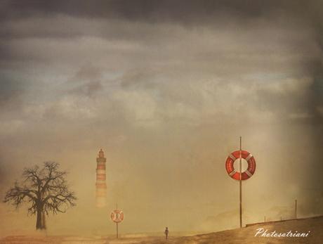 ARBOREO: un bosque de cien árboles y setecientos días ARBOREO: un bosque de cien árboles y setecientos días