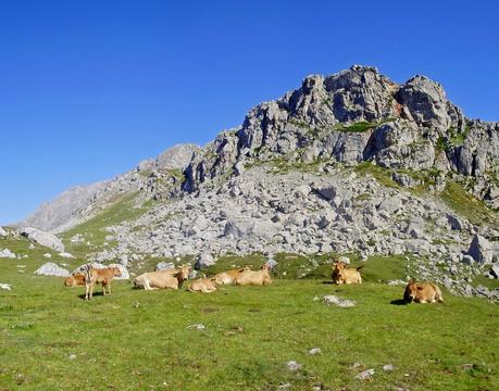 PEÑA CERREO DESDE LA CASA MIERES