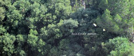 Mariposeando… Mariposeando…