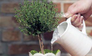 Prepara tu casa para evitar averías Prepara tu casa para evitar averías