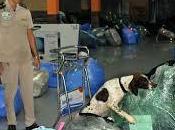 Droga cero… encomiendas