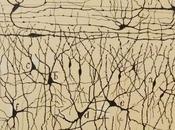 Neuronas espejo, ética ficción