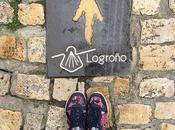 Viajar Logroño familia: recomendado