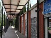 finalizó temporada radio