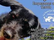 Jornada puertas abiertas sonrisa animal”. Junio.