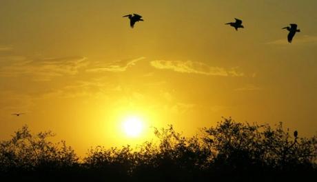 Etiopía, uno de los países del mundo que acoge más refugiados