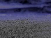 Anarquismo frente crisis mundial: Autodefensa popular