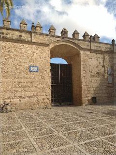 Vinoble 2018. Galería de imágenes. Vinoble 2018. Galería de imágenes.