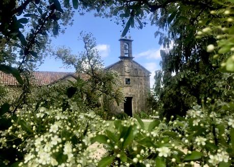 Belleza de junio. Beauty in June. Belleza de junio. Beauty in June.