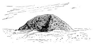 Hawara, W. M. Flinders Petrie Hawara, W. M. Flinders Petrie