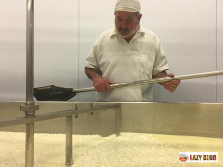 Cómo se elabora el queso de la D.O. Roncal Cómo se elabora el queso de la D.O. Roncal