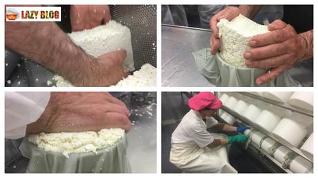 Cómo se elabora el queso de la D.O. Roncal Cómo se elabora el queso de la D.O. Roncal