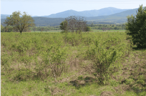 Paso de Shipka + Kazanlak (el valle de las rosas)