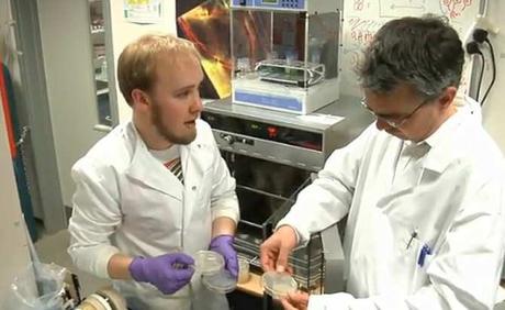 Llega el vendaje nanotecnológico que avisa de una infección