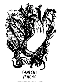 Caniche Macho: Árboles y Ruinas es su single debut